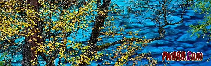 �¿�1.76�ϻ�����