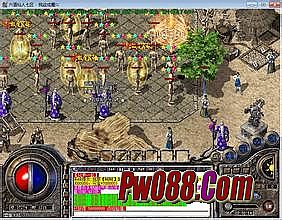 �¿������״�Ʒ����