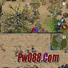 ����Ϊʲô��û��