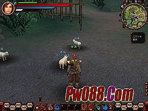 ʢ����������ô����