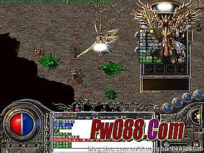 ��Ѫ����΢�ͻ�������