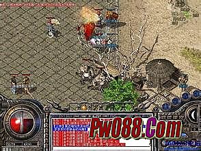 ������ʧ�汾����